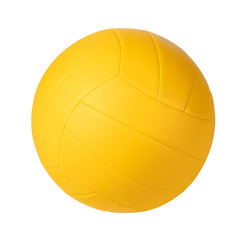 Volleyball Ball