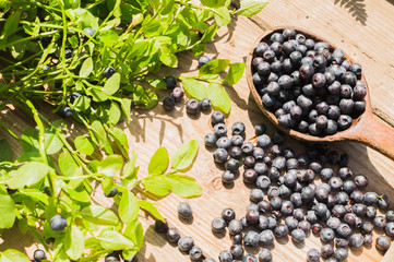 Antioxidant and nutrition food. Spoon with blueberries from forest.