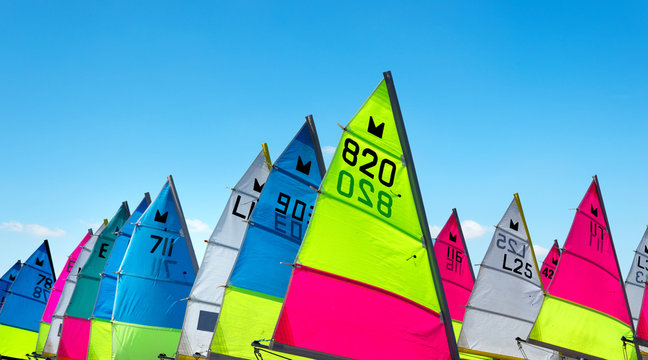 Voile Bilder Durchsuchen 33,537 Archivfotos, und