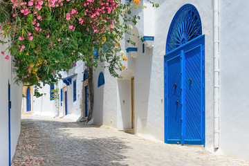 Blue and white street in the small town of Sidi Bou Said, Tunisia