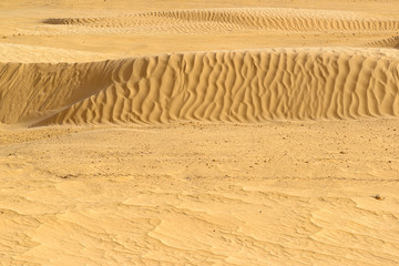 Fragment of desert dunes with yellow sand