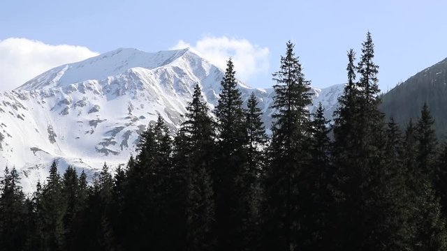 Panorama di una montagna innevata