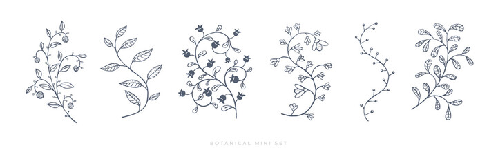 Set hand drawn curly grass and flowers on white isolated background. Botanical illustration. Decorative floral picture.