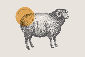 Graphic hand-drawn ram on a red background. Retro engraving with farm animal for menu restaurants, for packaging in markets and shops. Vector vintage illustrations.