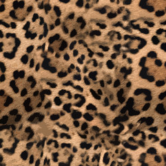 Leopard skin print pattern  colored design