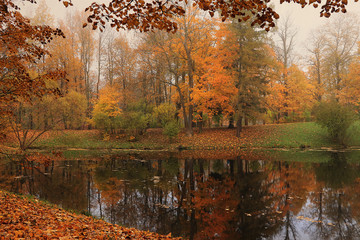 September autumn park in Russia, lake with red leaves and reflection in heavy fog. Beautiful autumn landscape in the park, seasons., A journey through beautiful