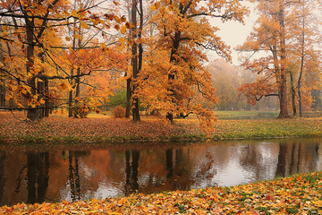 Fototapeta na wymiar September autumn park in Russia, lake with red leaves and reflection in heavy fog. Beautiful autumn landscape in the park, seasons., A journey through beautiful