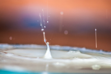 Water Splash Vivid, White