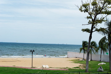 Palm trees by the beach with clear blue sky and ocean view.