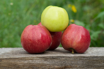 Beautiful large fresh green and red apples on a wooden table in the garden.Photo side view, close-up.