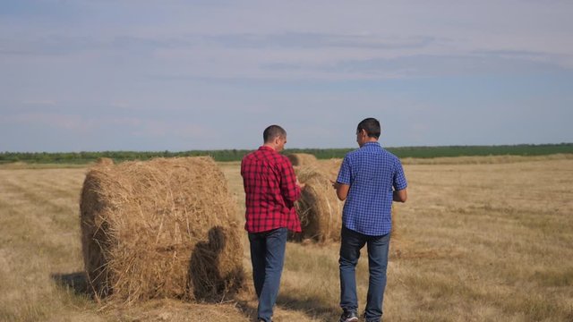 teamwork agriculture smart farming concept. two men farmers workers walking studying haystack in field lifestyle on digital tablet. teamwork slow motion video. people agronomist botanist farmers