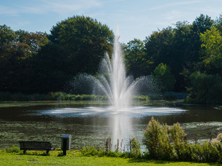 Naklejka premium Wasserfontäne an einem kleinen Parkteich in Alkmaar, Niederlande