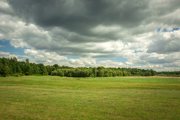 Green meadow, forest and clouds in the sky