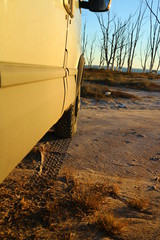 Huella de camioneta 4x4 sobre la tierra