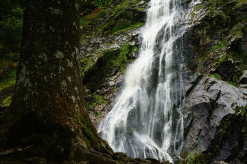 Fototapeta na wymiar Powerscourt Waterfall, Wicklow, Ireland