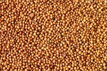 Grains of mustard. Close-up. Top view. Background. Texture.