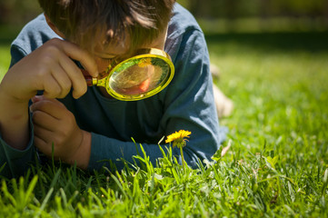 boy the Explorer of nature