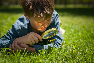 boy the Explorer of nature