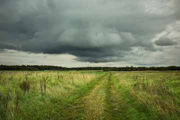 Trail through a wild meadow, horizon and rainy clouds