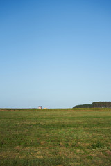 Obraz premium Field of grass completely empty until the horizon