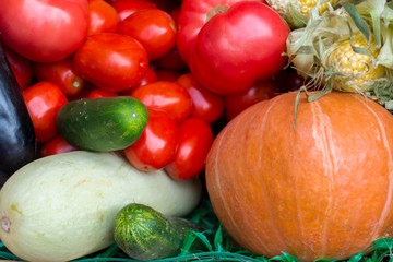 farmer showcase with pumpkin, corn, tomatoes and other vegetables