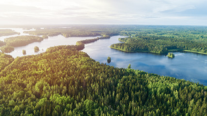  Lake system surrounded with green forest in Finland, aerial landscape. Nature exploration concept.