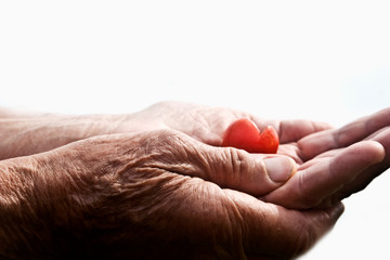 Red heart in old palms on a white background close-up