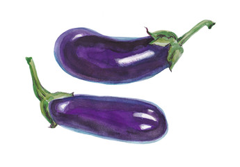 Eggplants isolated on white background.