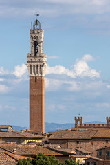 Obraz premium the torre del mangia, Siena - Italy