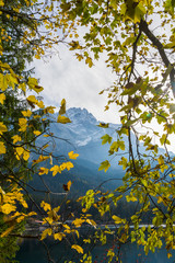 Zugspitze with yellow leaves frame