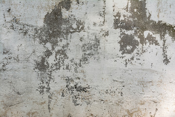 texture concrete wall with destroyed plaster layer and paint, shadow from trees, architecture abstraction background