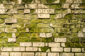 partially destroyed wall of white brick and covered with green mold, a shadow from the trees on the old wall, retro architecture abstraction background