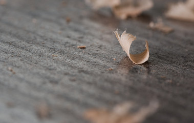 Detail einer Holzspäne in einer Schreinerei