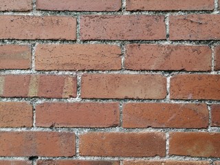 Brick wall with moss covered grouting