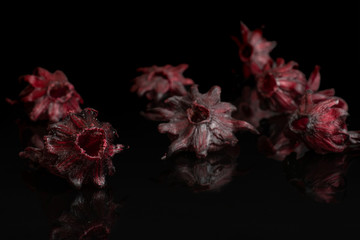 Group of seven whole sweet red candied hibiscus isolated on black glass