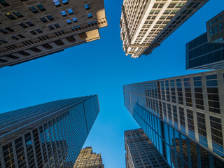 Fototapeta na wymiar New York skyscrapers bottom view