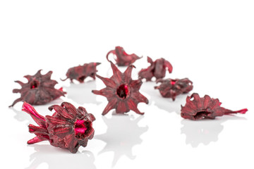 Group of eight whole sweet red candied hibiscus isolated on white background