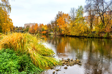 Am Regnitzufer in Bamberg im Herbst