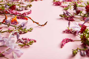 diverse fresh wildflowers on pink background with copy space