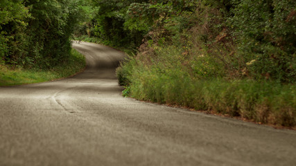 road in the forest