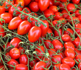 background of many red ripe cherry tomatoes