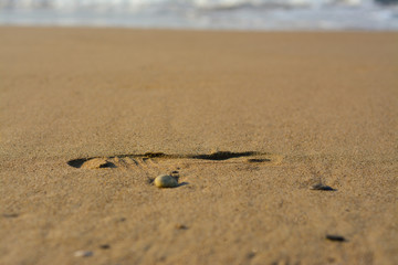  Footprints in the sand on the beach against the background of the sea