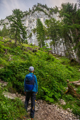 Obraz premium Sauling, Alps, Mountain 