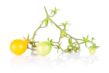 Group of three whole fresh yellow pear tomato isolated on white background