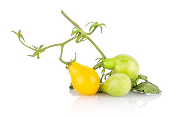 Group of three whole fresh yellow pear tomato on branch isolated on white background