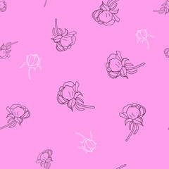 seamless background of transparent peony flowers on pink and white background