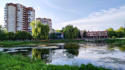 Fototapeta na wymiar the river in the park