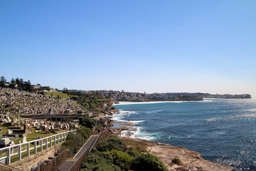 Fototapeta na wymiar Coastal Line Bondi to Bronte Walk Sydney Australia
