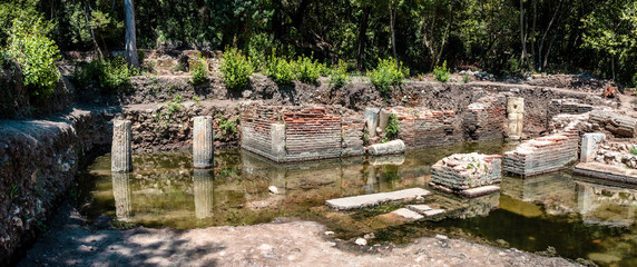 Fototapety na wymiar - Fototapeta24.pl