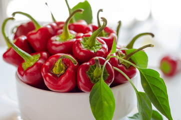 Red hot pepper